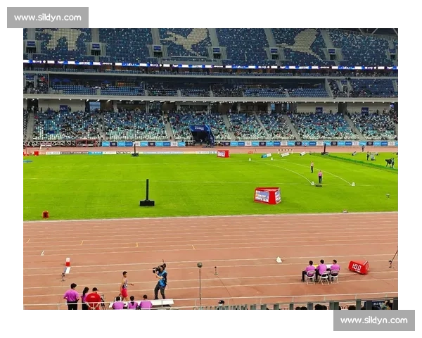 三级跳远比赛规则解析与技巧指导助力选手突破极限成绩